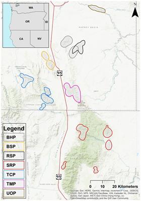 A simple biochemical plasma test as an indicator of maternal energy balance predicts offspring survival in bighorn sheep